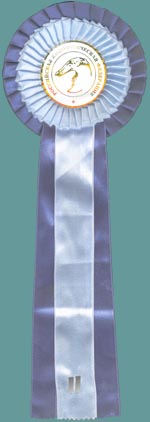 ������� � ������� ������-������� 2001